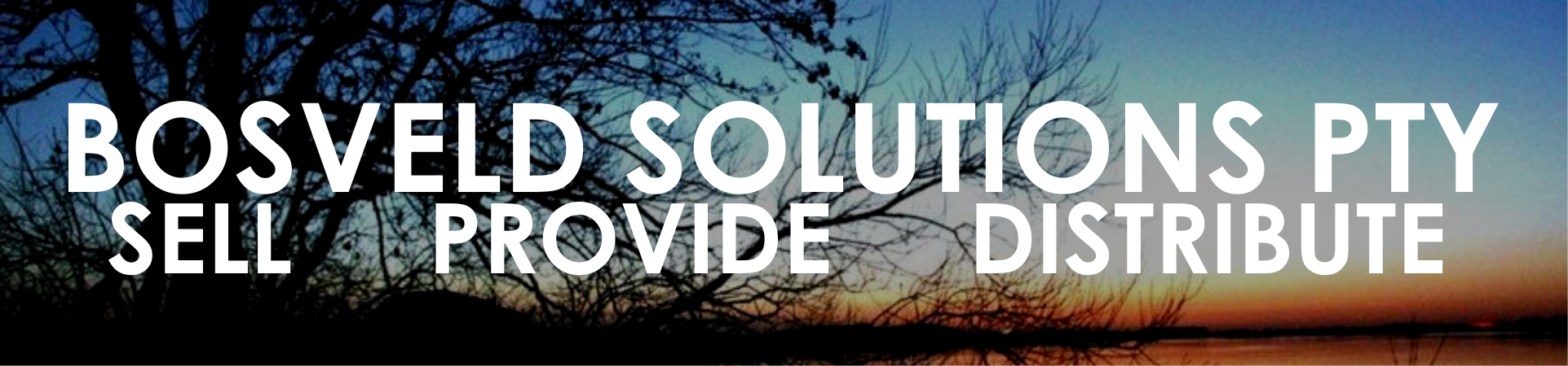 Bosveld Solutions Logo